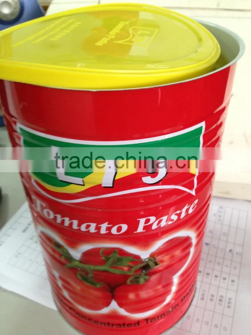 double concentrated China tomato paste in sachet pouch l79 alavie 100g 50g 70g 40g 100g factory 28%-30%