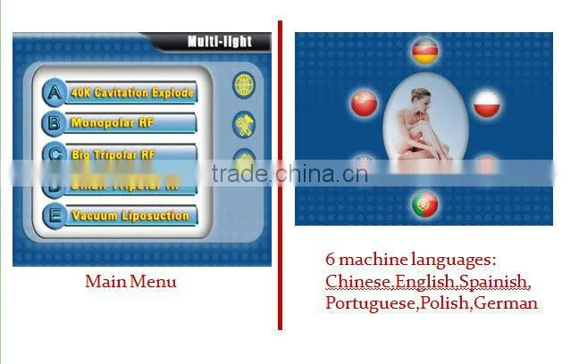 2016 Hot 5 treatment handles ultrasonic cavitation weight loss machine