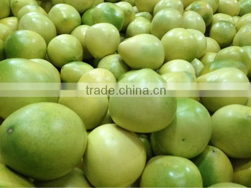 chinese sweet honey pomelo