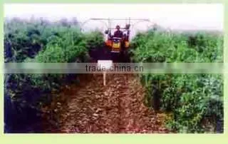 Ningxia Love Goji Supply Chain Corporation company overview - view 1
