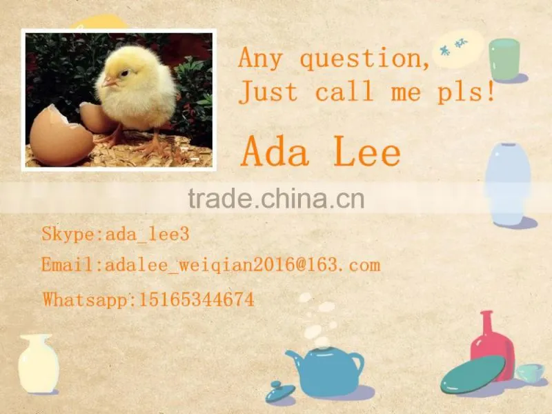 Hot sale 288 quail egg mini incubator price in ChinaWQ-72