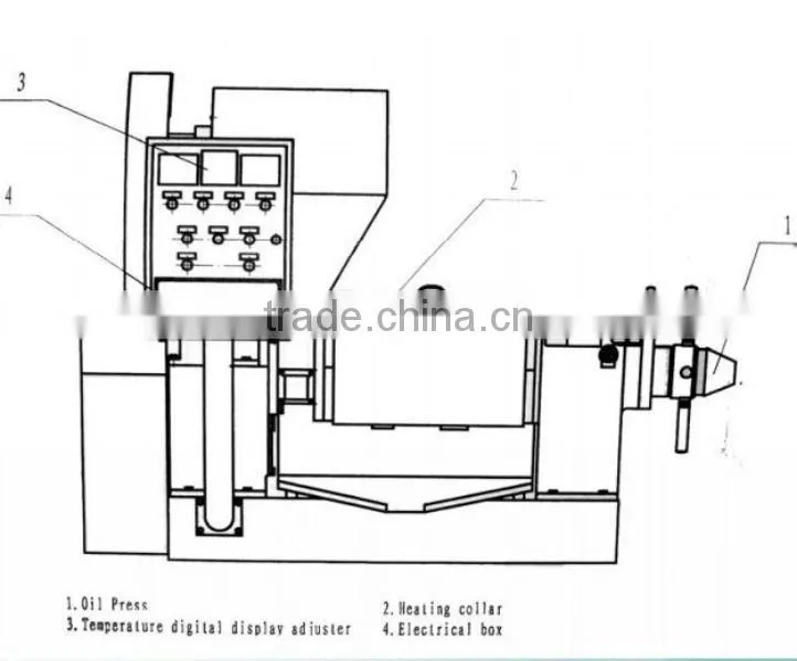 Qie 100~600kg/hr automatic fine quality oil expeller for palm kernel 6YL series