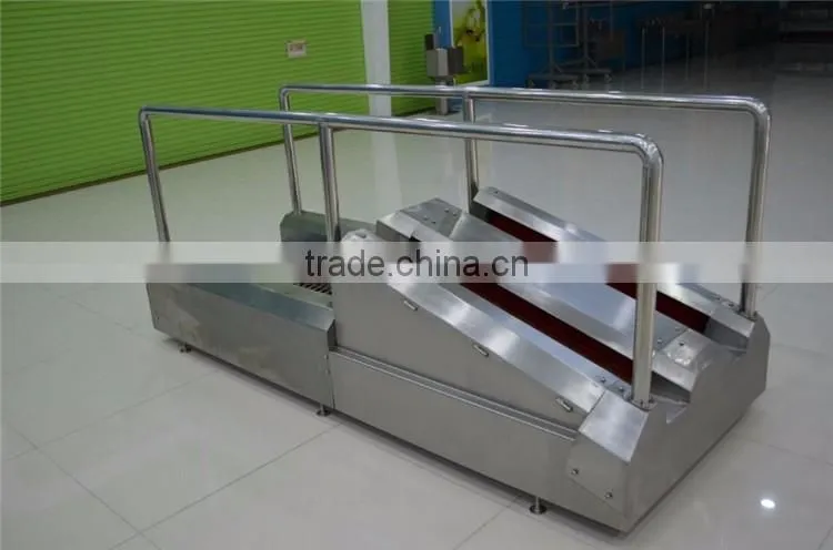 Automatic Stainless Steel Boot Washer