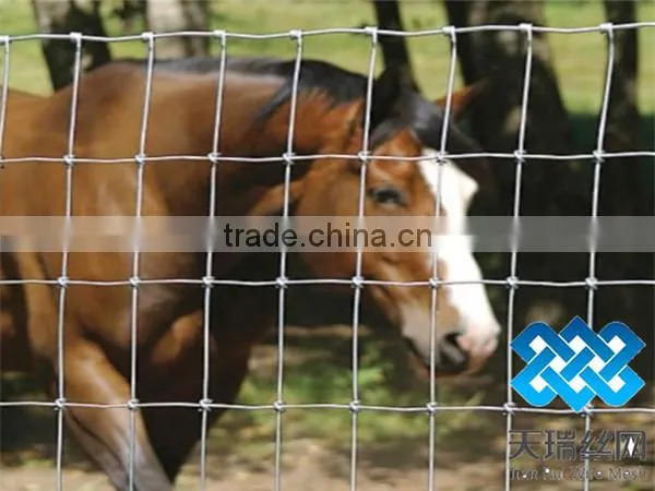 field mesh/cattle mesh/field fence