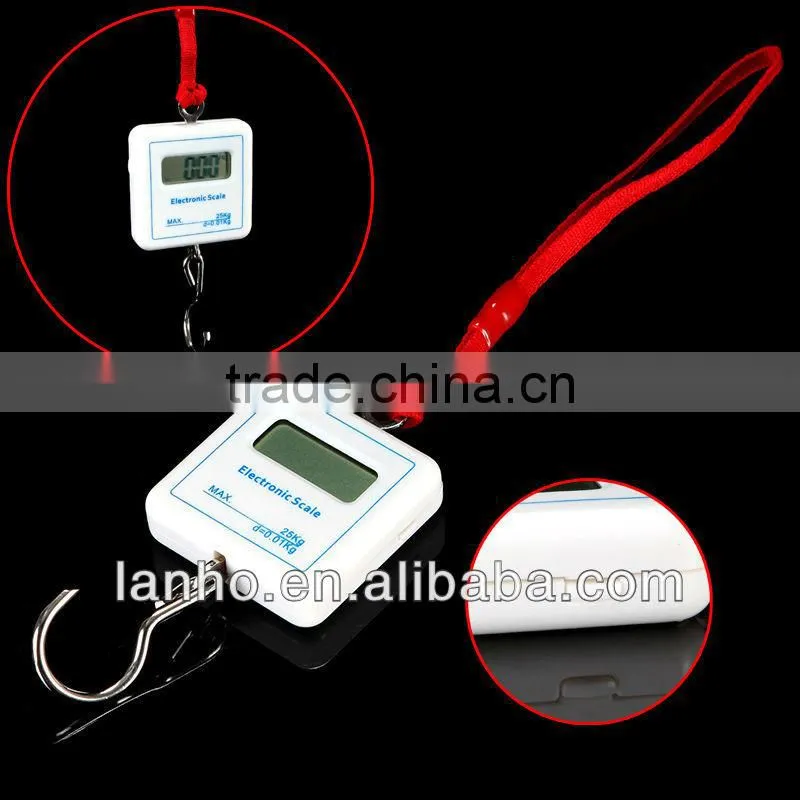 25KG Pocket Portable Digital Electronic Weigh Scale