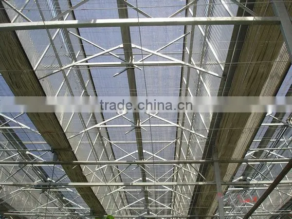 Fully Opened Roof PC Sheet Greenhouse