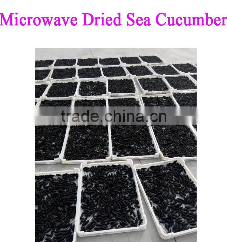 Unique new technology fish microwave drying machine