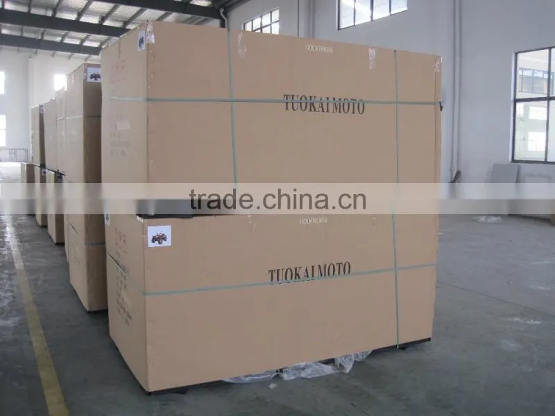 250cc 12KW EFI engine UTV Utility Vehicle (TKU250E-2B)