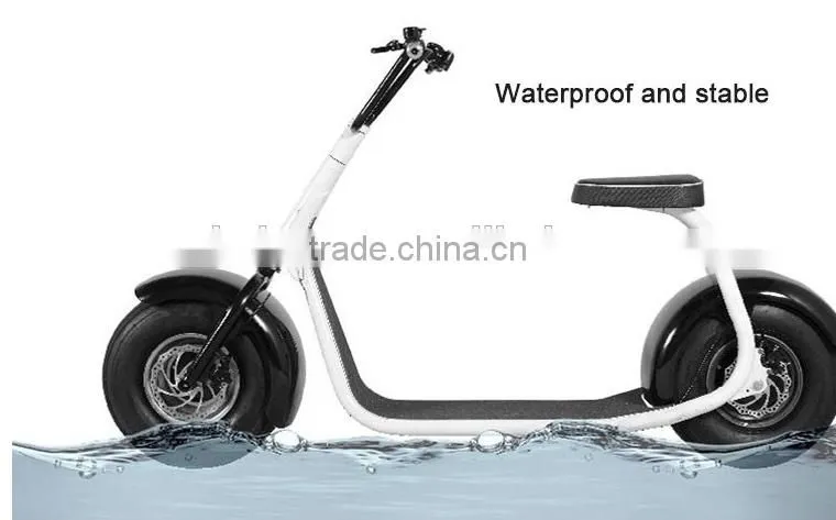 Fahshion 800W/1000W Brushless motor Adult Electric Scooter, 2 Wheels Electric scooter (TKE-S800)