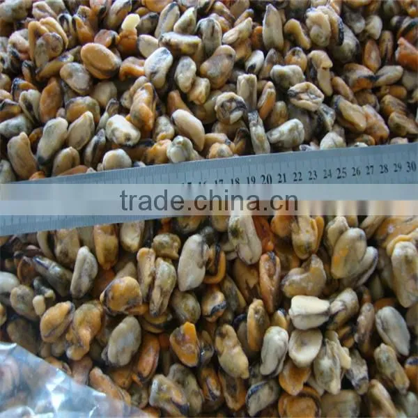 fresh water mussels