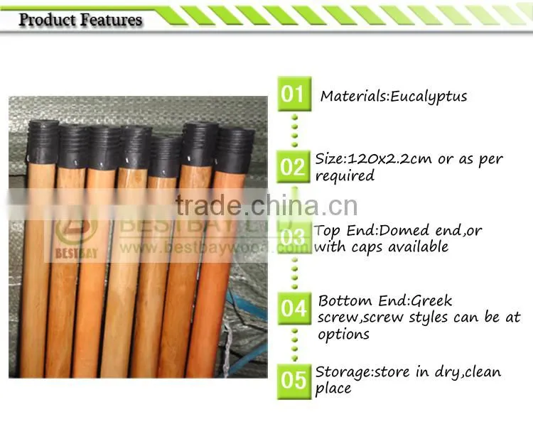 Painted long handle soft brush/cleaning brush with telescopic handle/car wash brush with long handle
