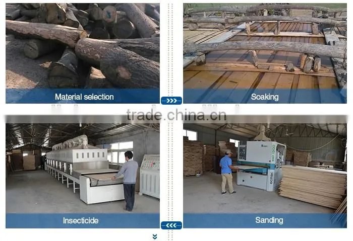 AB Grade Paulownia Breaking Board