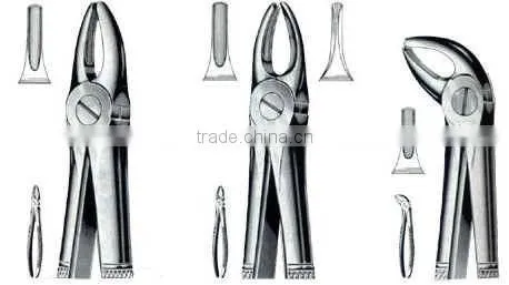 Stainless Steel Dental Extracting Forceps