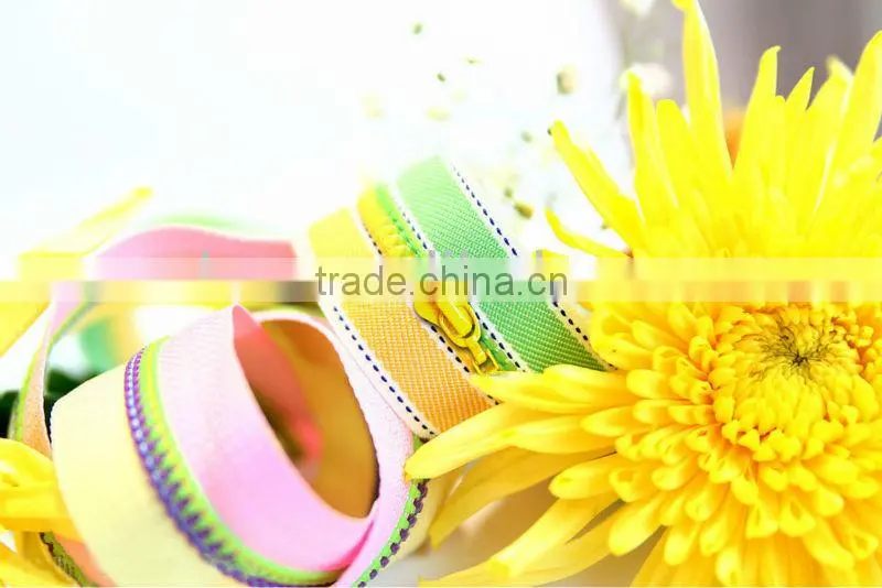 No.5 Plastic Zipper With Two Color Tape for handbags