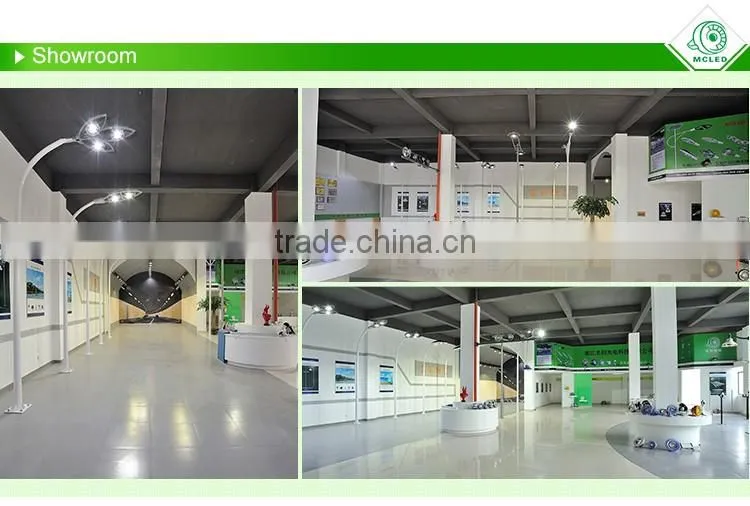 MCLED ATEX 30W COB MOSO Explosion-proof led industrial explosion proof lighting fixtures Zone1 and Zone 2 lighting