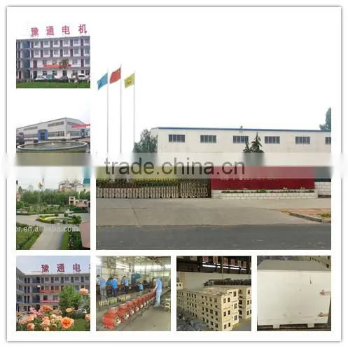 TZDC series mounted eccentric vibrator motor from China
