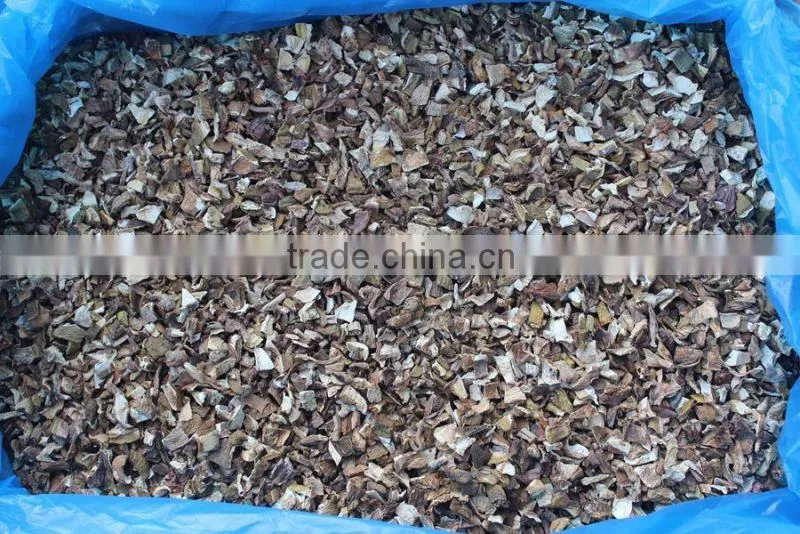 Dried porcini mushroom fresh mushroom farm