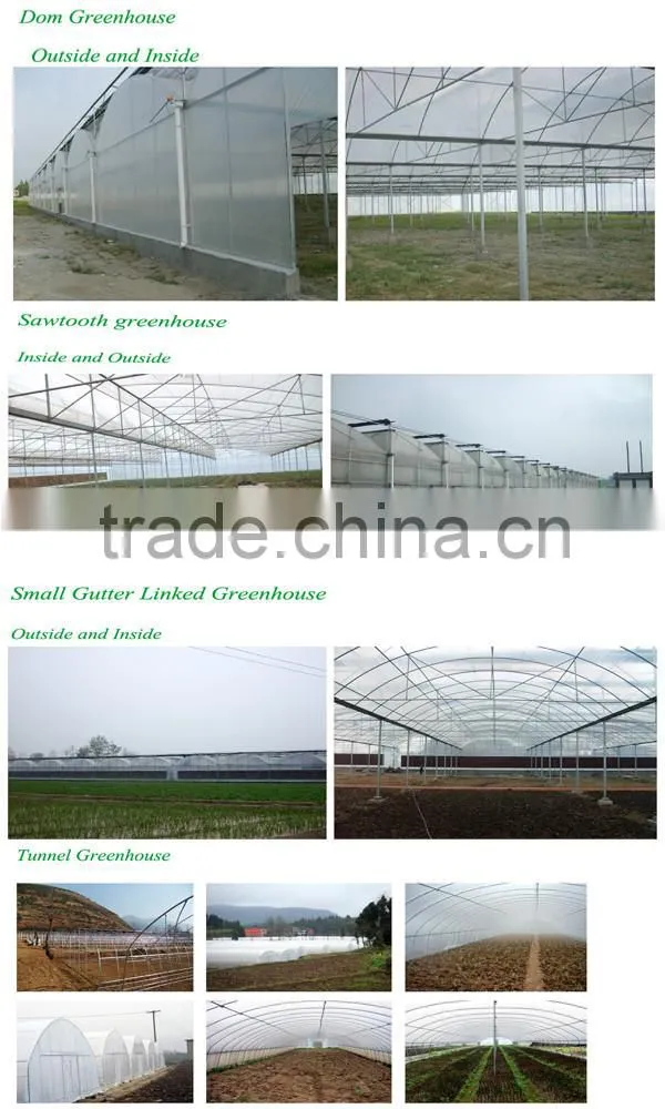 Agricultural Plastic Houses