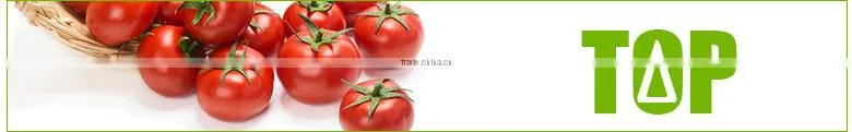Wholesale sale cheap health and safety products