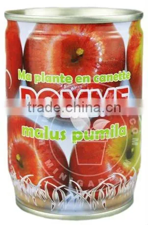 Can flower of apple