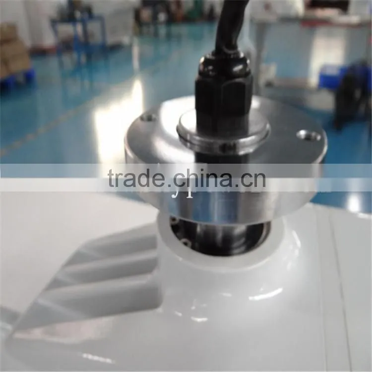 800w wind generator,wind generatorat low cost,New energy&family