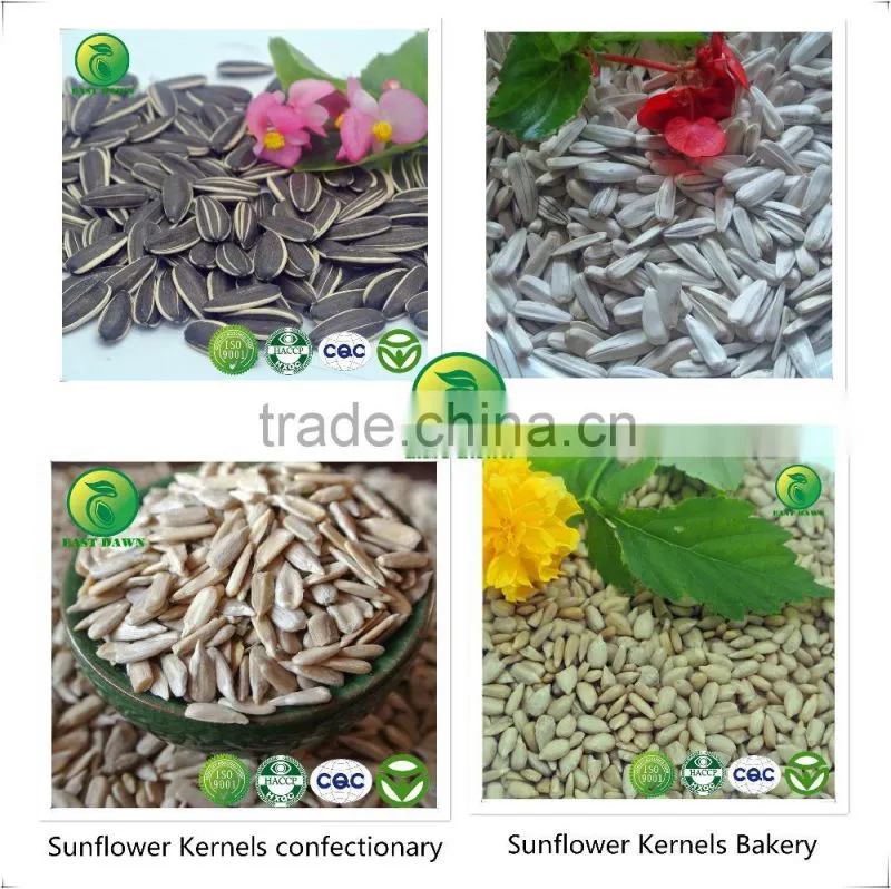 2015 New Crop Chinese Sunflower Seeds for High Quality