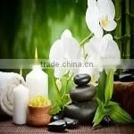 Lavender Fragrance Oil Reed Diffuser