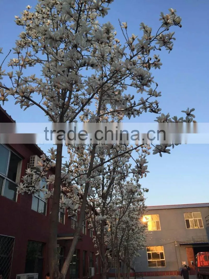 U shape pvc edgebanding for office, kitchen table