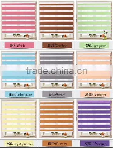 New Indoor Home Window Day Night Zebra Roller blind /Zebra Roller Shades