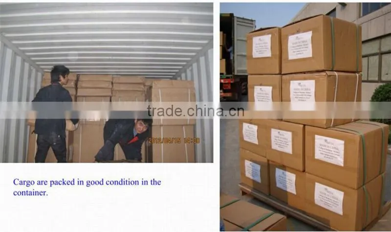 Chemical Hoods/ Industrial Exhaust Hood , PP Fume Hood