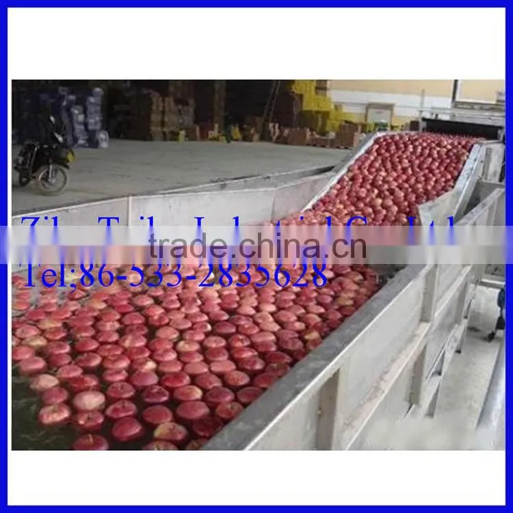 Professional manufacturer: industrial fruit washing machine for persimmons