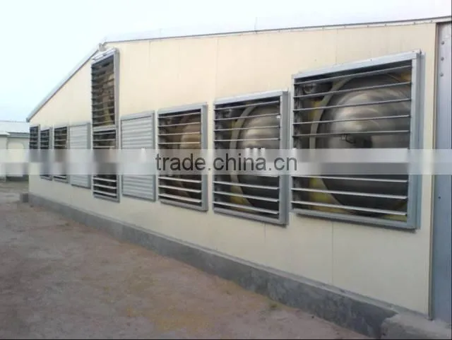 2014 steel chicken farm house with all automatic control equipments in Nigeria