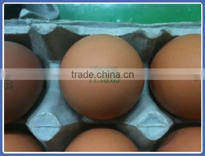 High Efficiency Wall Printing Mmachine