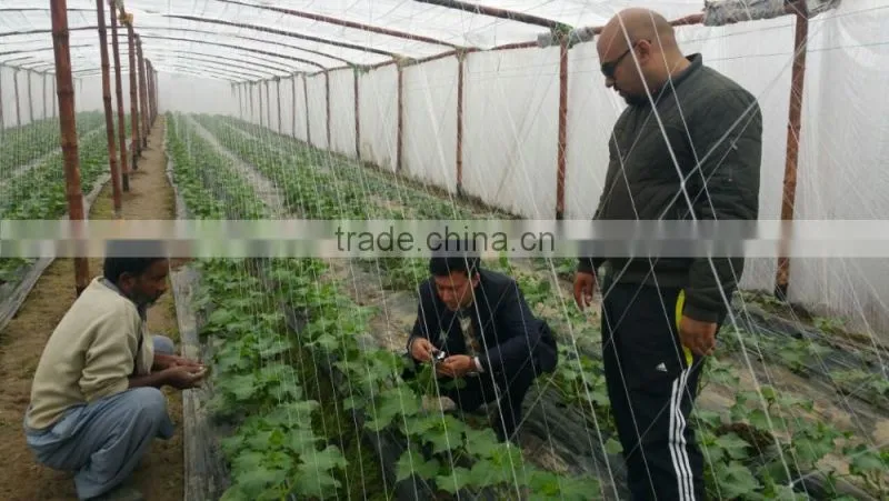 HOT SELLING!!Best quality knitted BOP /cucumber climing net