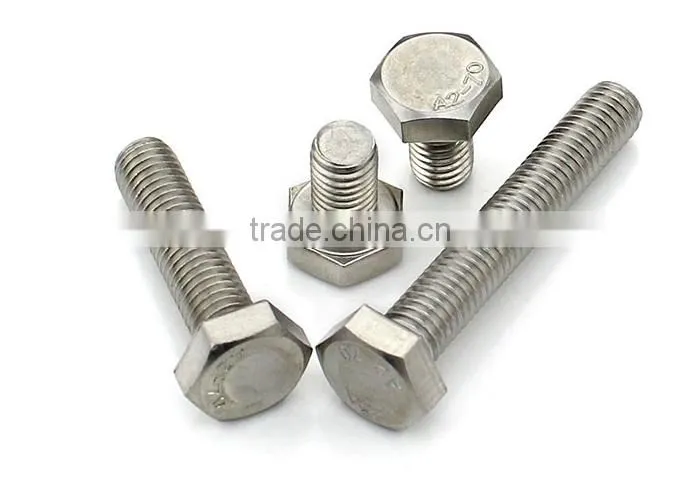 stainless bolt/stainless steel bolt