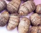 2015 supplier of good taste and natural taro in china
