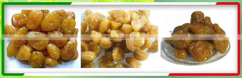 Apricot Kernels/ Bitter and Sweet Apricot Kernels