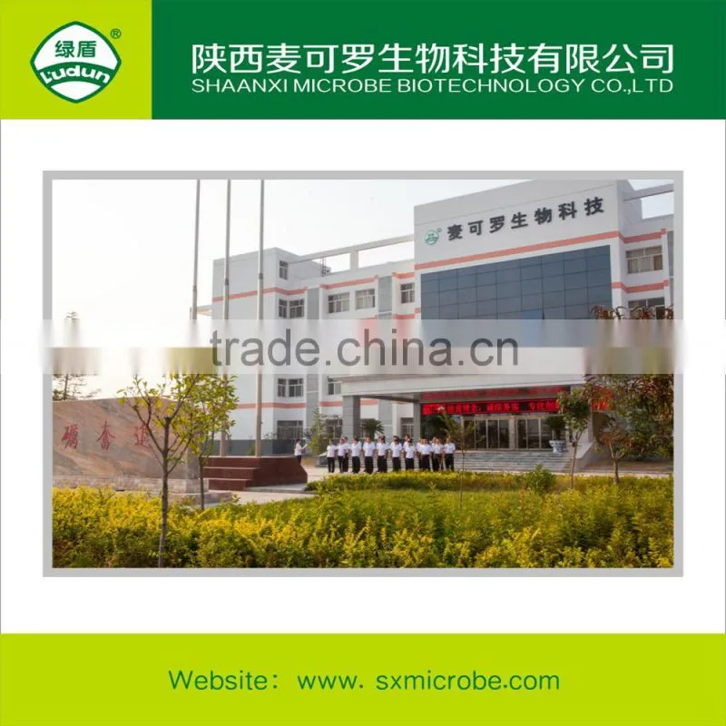 60% Validamycin TC with competitive price