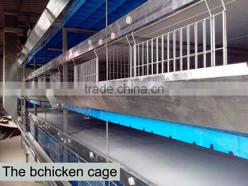 4 tiers high quality chicken cage for sale