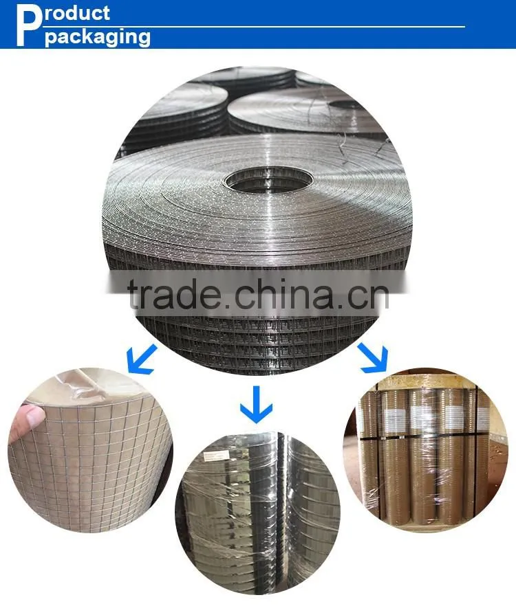 Alibaba factory price 1/4 inch galvanized welded wire mesh