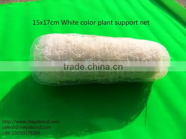 Plant support net/ Plant climbing net