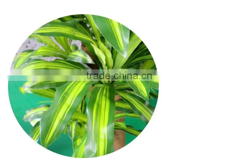 Real Touch Artificial Brazil Dracaena Decorative Silk Plant in Pot