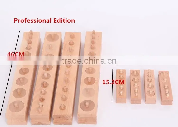 Teaching AIDS Wooden educational toys montessori Cylinders blocks