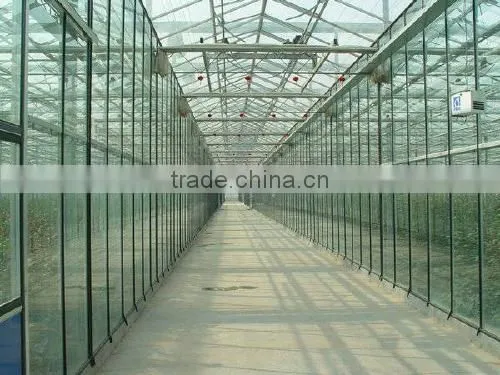 Beautiful and bright flowers cultivation in greenhouse