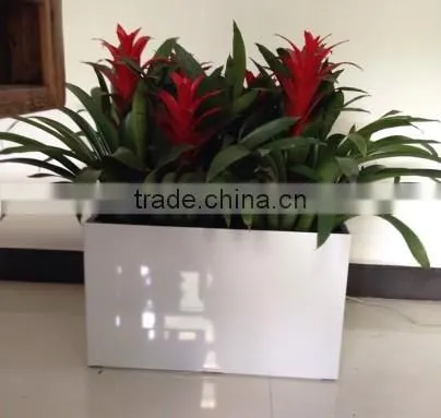 New design self-watering PP combined planter