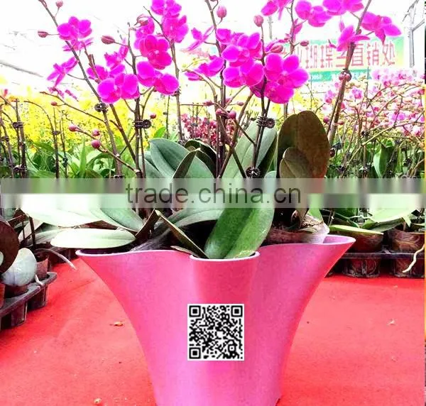 360*200 Biodegradable Colorful Plant Flower Pot Eco Planer