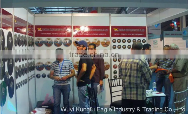 Aluminum oxide abrasive flap disc with plastic cover