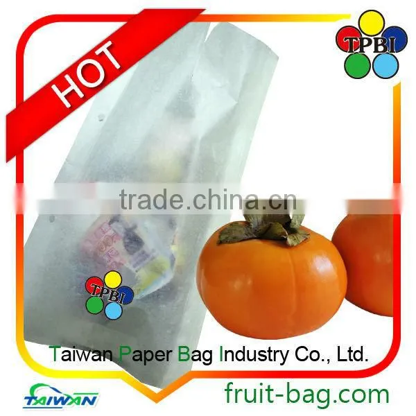 carambola paper star fruit growing paper bag
