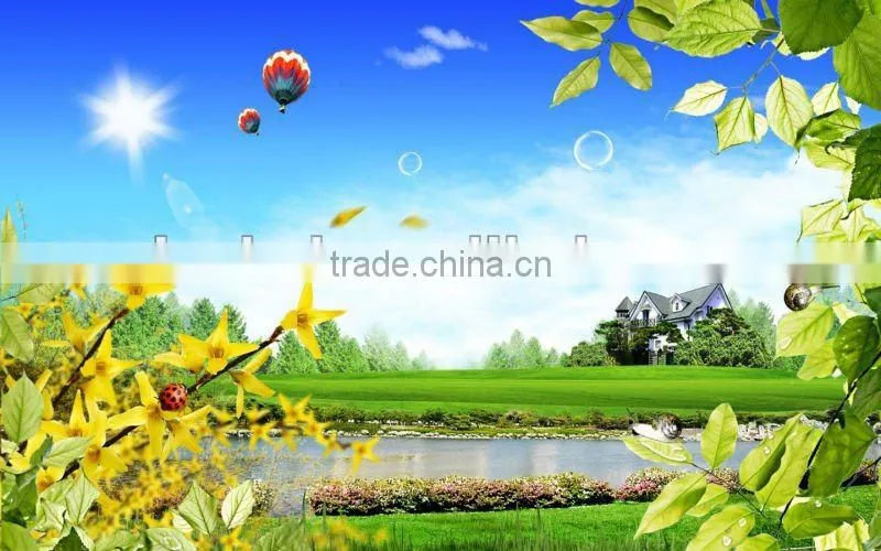 customized el animation poster (factory price, good quality, timely delivery)