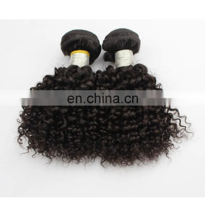 Natural Black Color Virgin Malaysian Afro Kinky Curly Hair Natural Human Hair Extensions